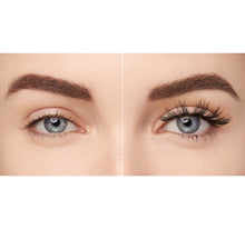 Load image into Gallery viewer, NO. 31 10-PIECE SET